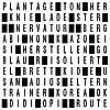 Einer zuviel - Lösung